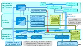 WordsAndMeanings-PIR-2025.pdf