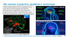 WordsAndMeanings-PIR-2025.pdf