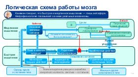 SoftSkills4IT-AnalystDays-2024b-Tsepkov.pdf