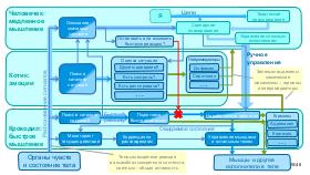 SoftSkill-MoscowQA-2024-09.pdf