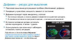 SoftSkill-MoscowQA-2024-09.pdf