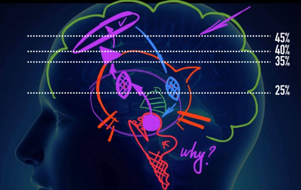 Обухова Дофамин и энергия
