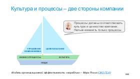 AgileTealOrg-PIRS-2019-Tsepkov.pdf