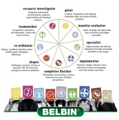 Belbin-MyType-1.jpg