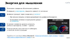 SelfDet-MergeConf-2024-Tsepkov.pdf